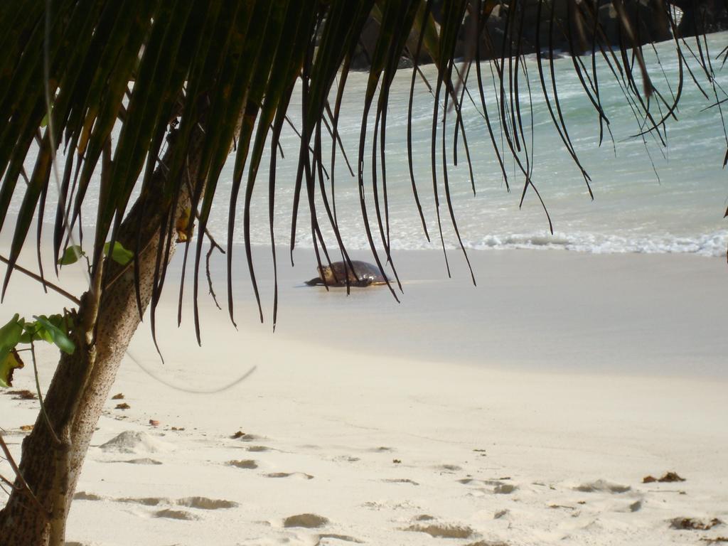 Villa Belle Plage Anse Kerlan Buitenkant foto